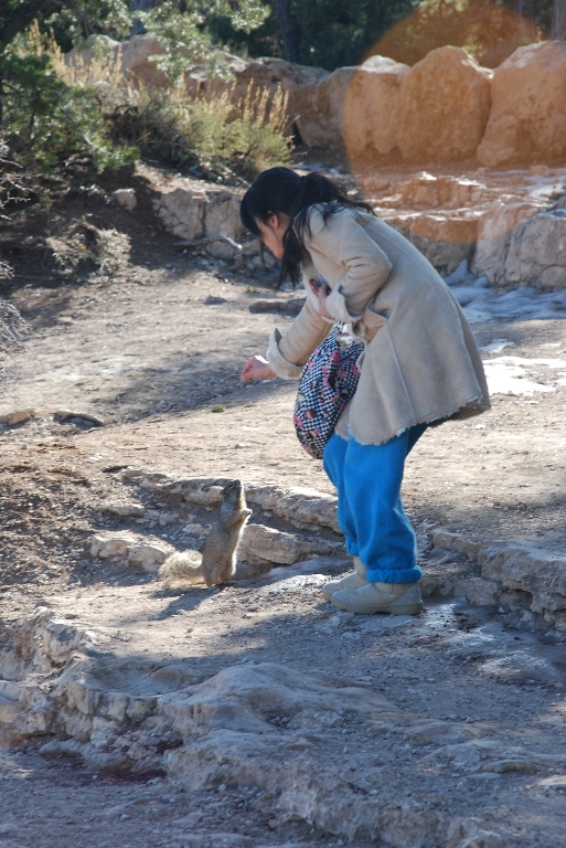DSC_1769.JPG